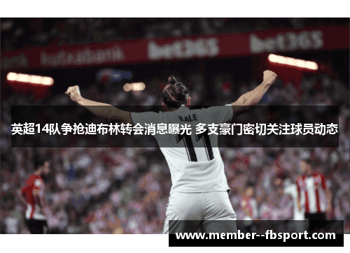 英超14队争抢迪布林转会消息曝光 多支豪门密切关注球员动态