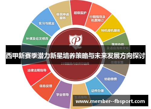 西甲新赛季潜力新星培养策略与未来发展方向探讨
