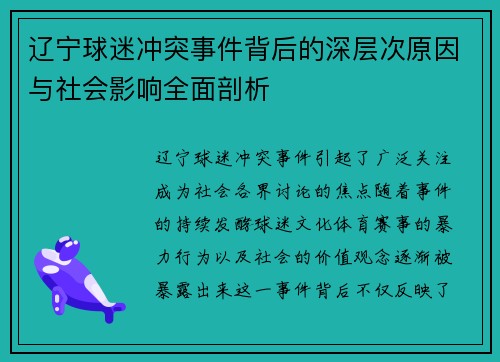 辽宁球迷冲突事件背后的深层次原因与社会影响全面剖析