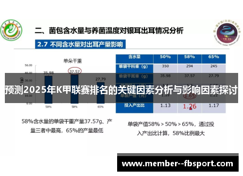 预测2025年K甲联赛排名的关键因素分析与影响因素探讨