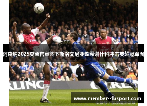 阿森纳2025夏窗官宣签下斯洛文尼亚锋霸谢什科冲击英超冠军图