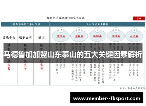 马德鲁加加盟山东泰山的五大关键因素解析